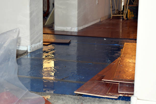 Professional Basement Flood Cleanup technician working in Gillett, WI